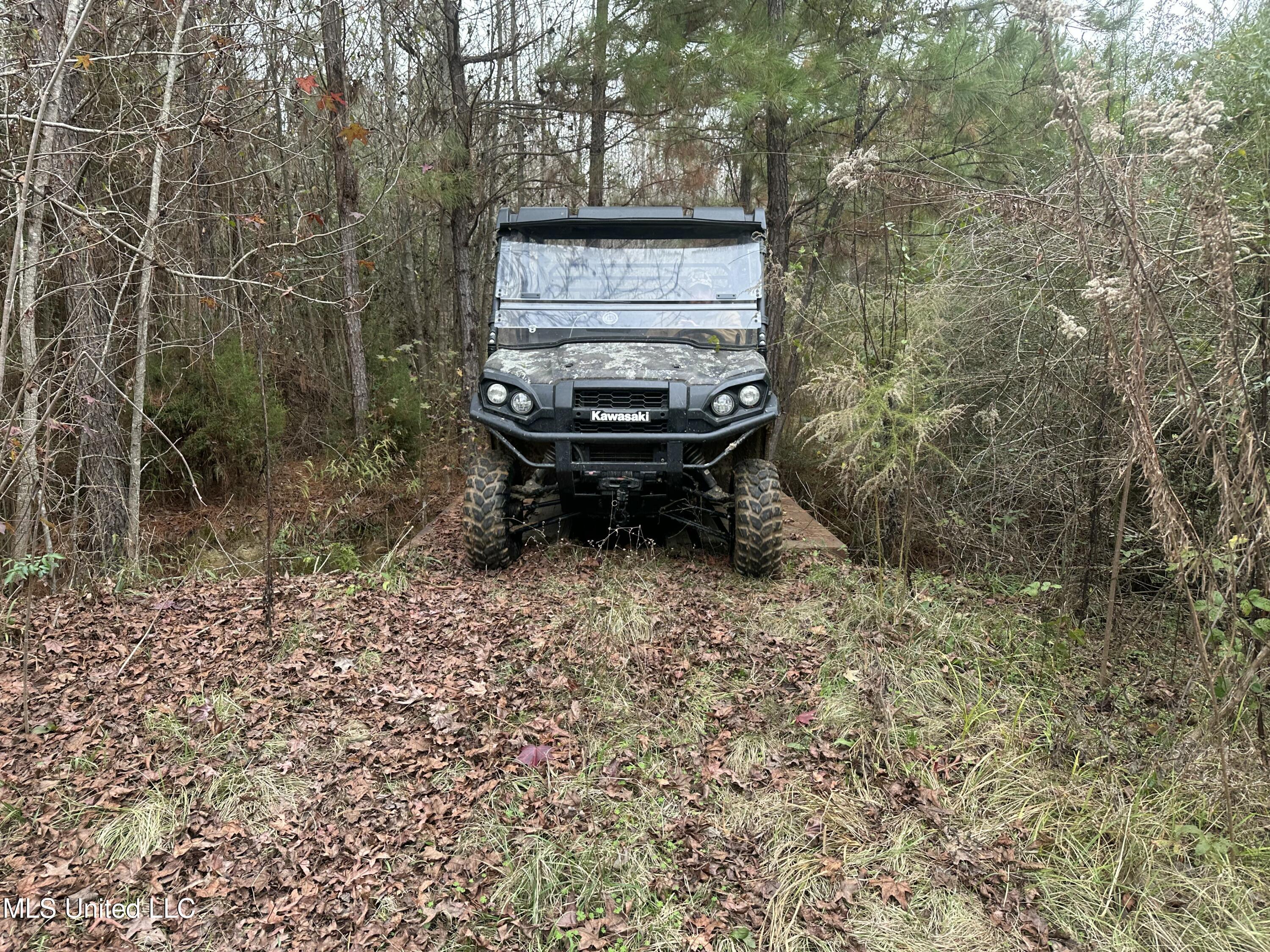 Tank Road Crystal Springs, MS 39059 - Photo 25 of 42 IMG_3890