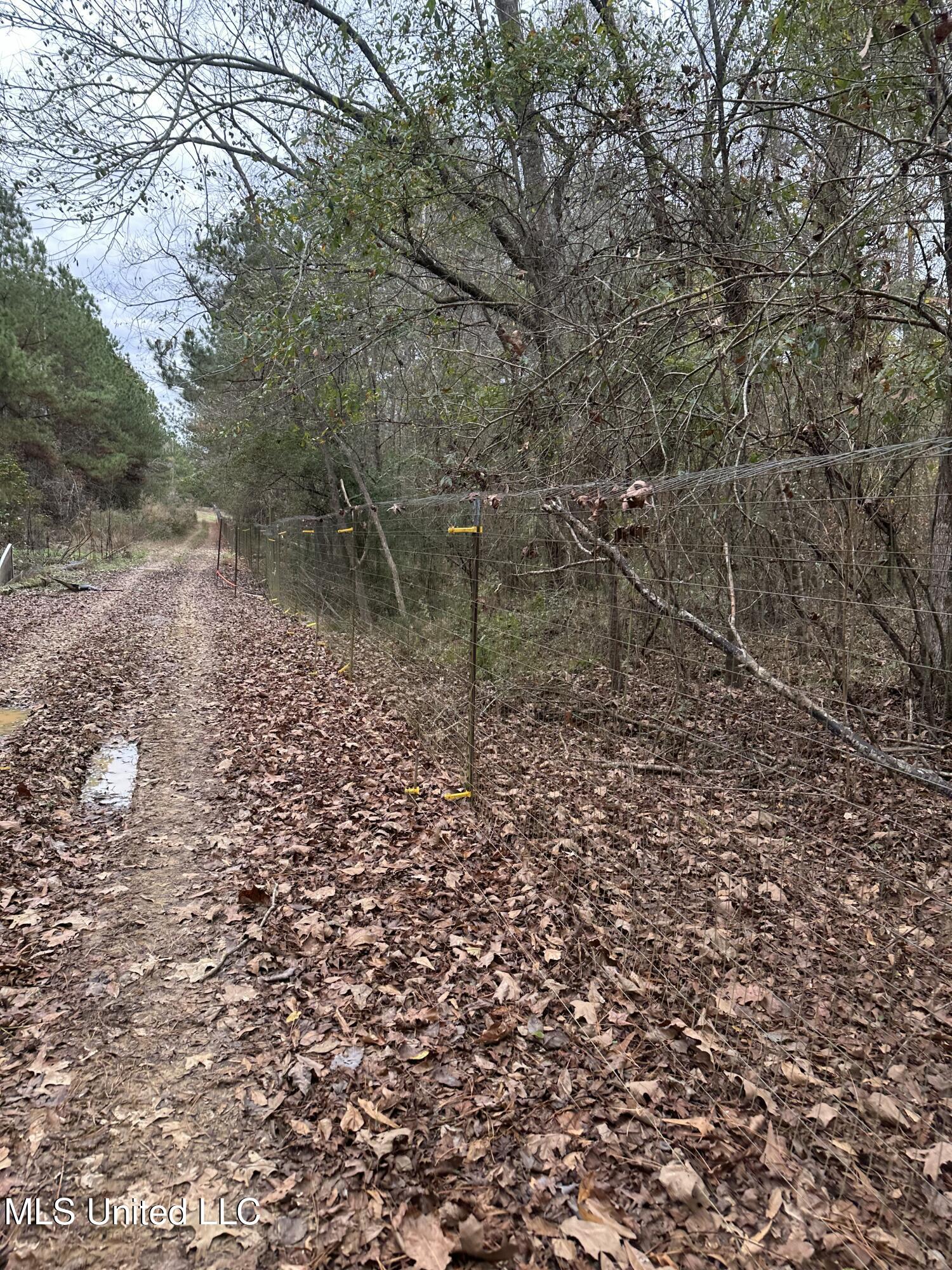 Tank Road Crystal Springs, MS 39059 - Photo 26 of 42 IMG_3892