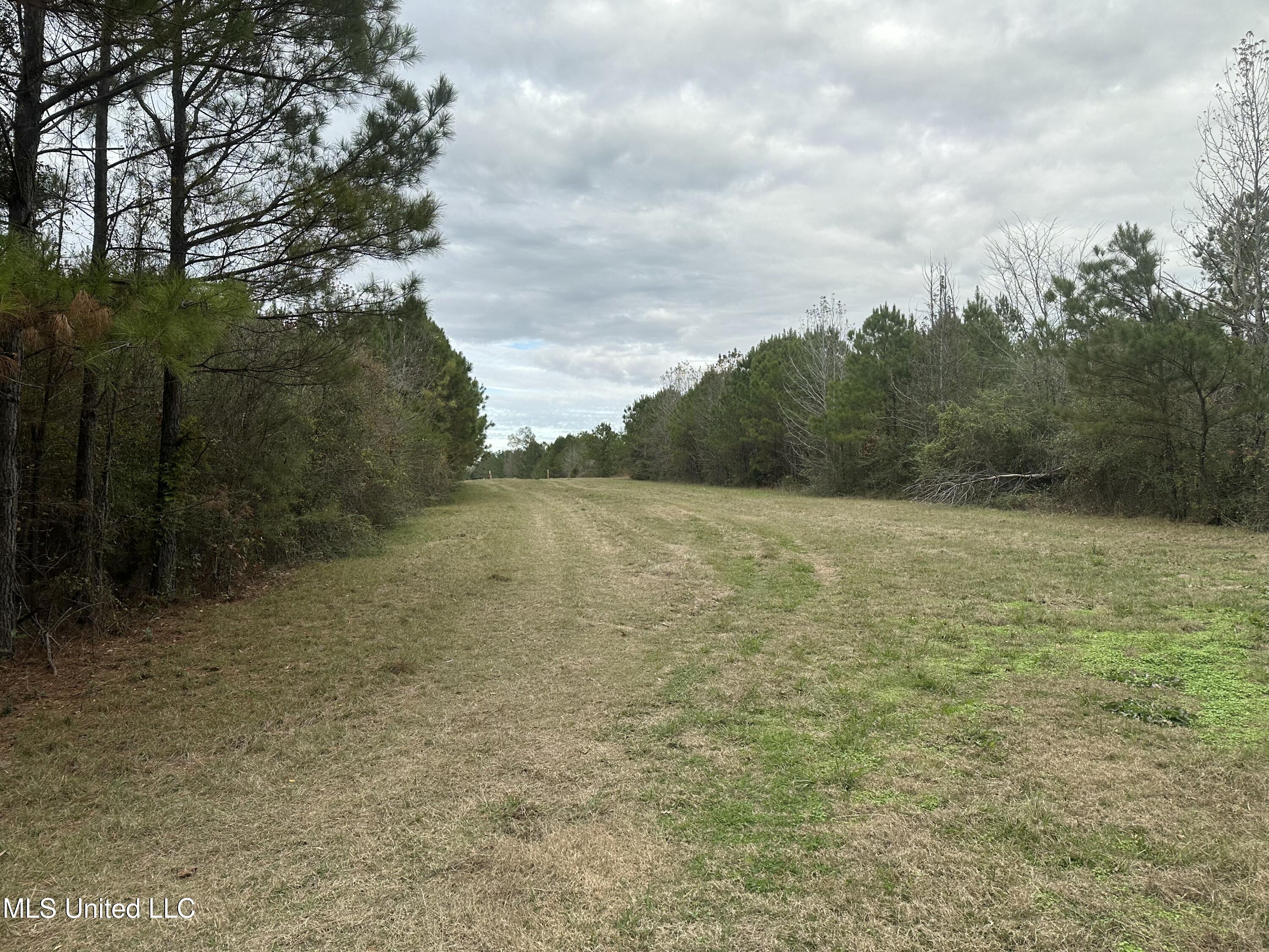 Tank Road Crystal Springs, MS 39059 - Photo 27 of 42 IMG_3894