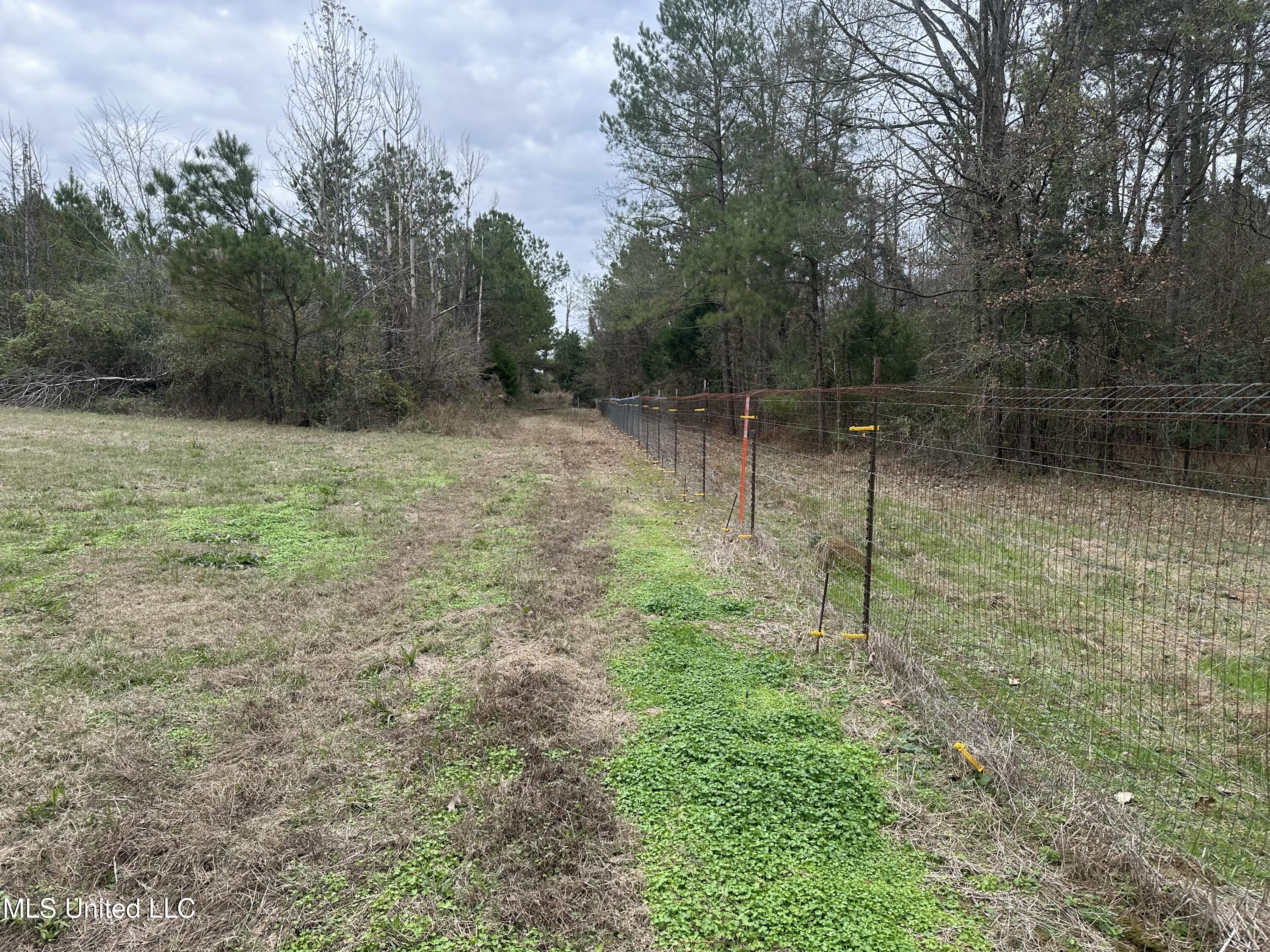 Tank Road Crystal Springs, MS 39059 - Photo 28 of 42 IMG_3895