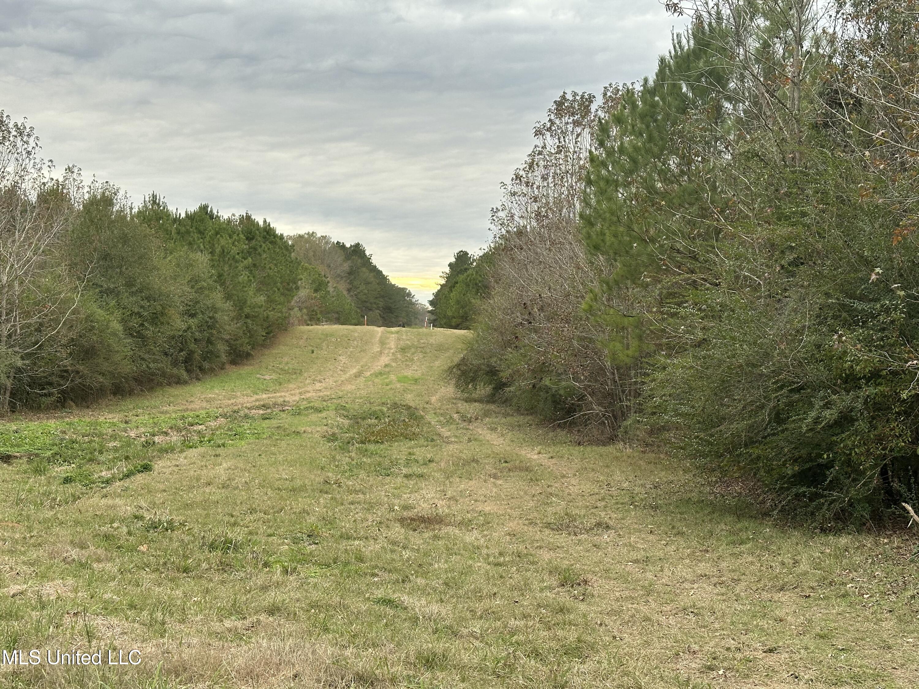 Tank Road Crystal Springs, MS 39059 - Photo 29 of 42 IMG_3897