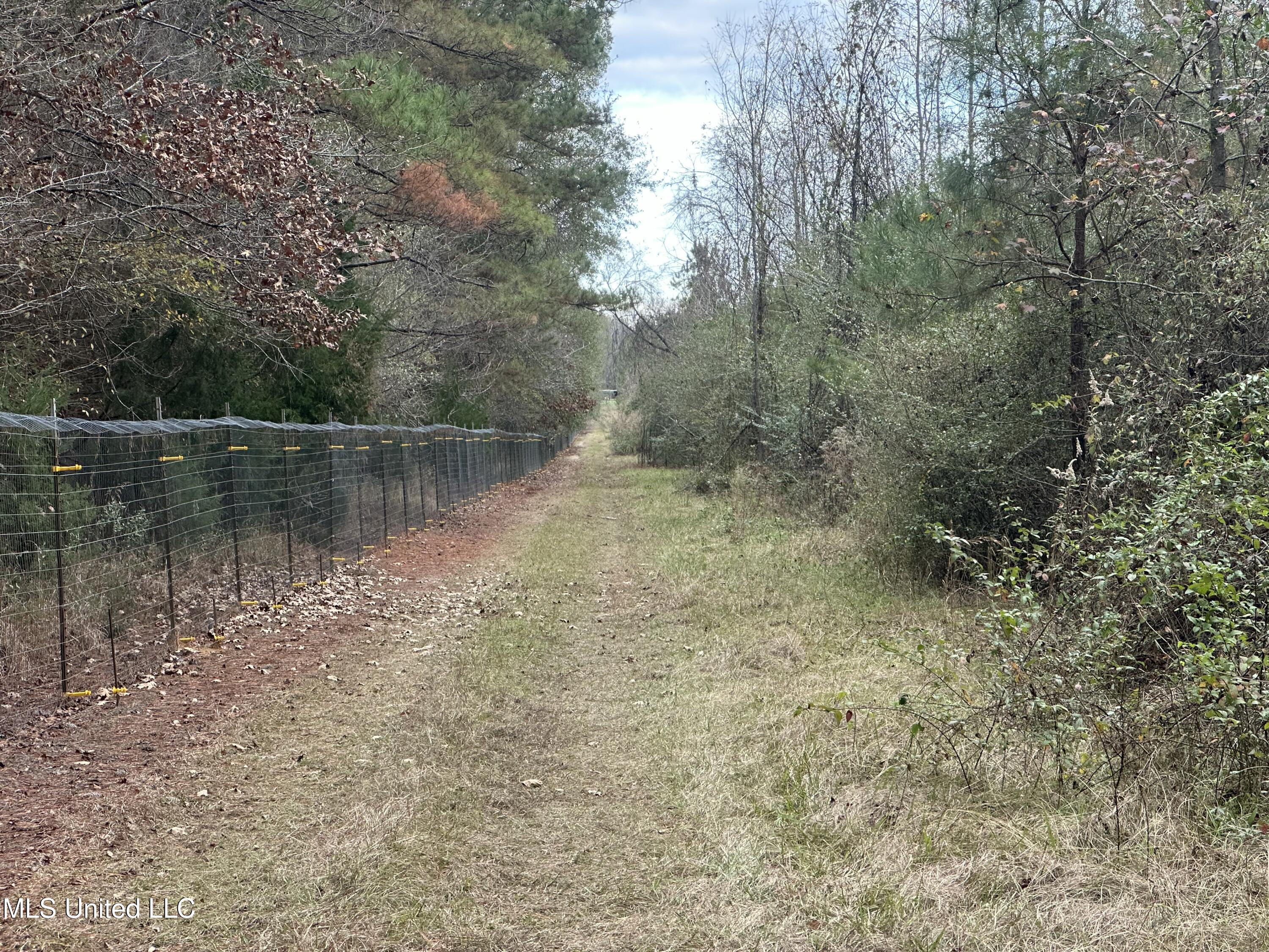 Tank Road Crystal Springs, MS 39059 - Photo 30 of 42 IMG_3899