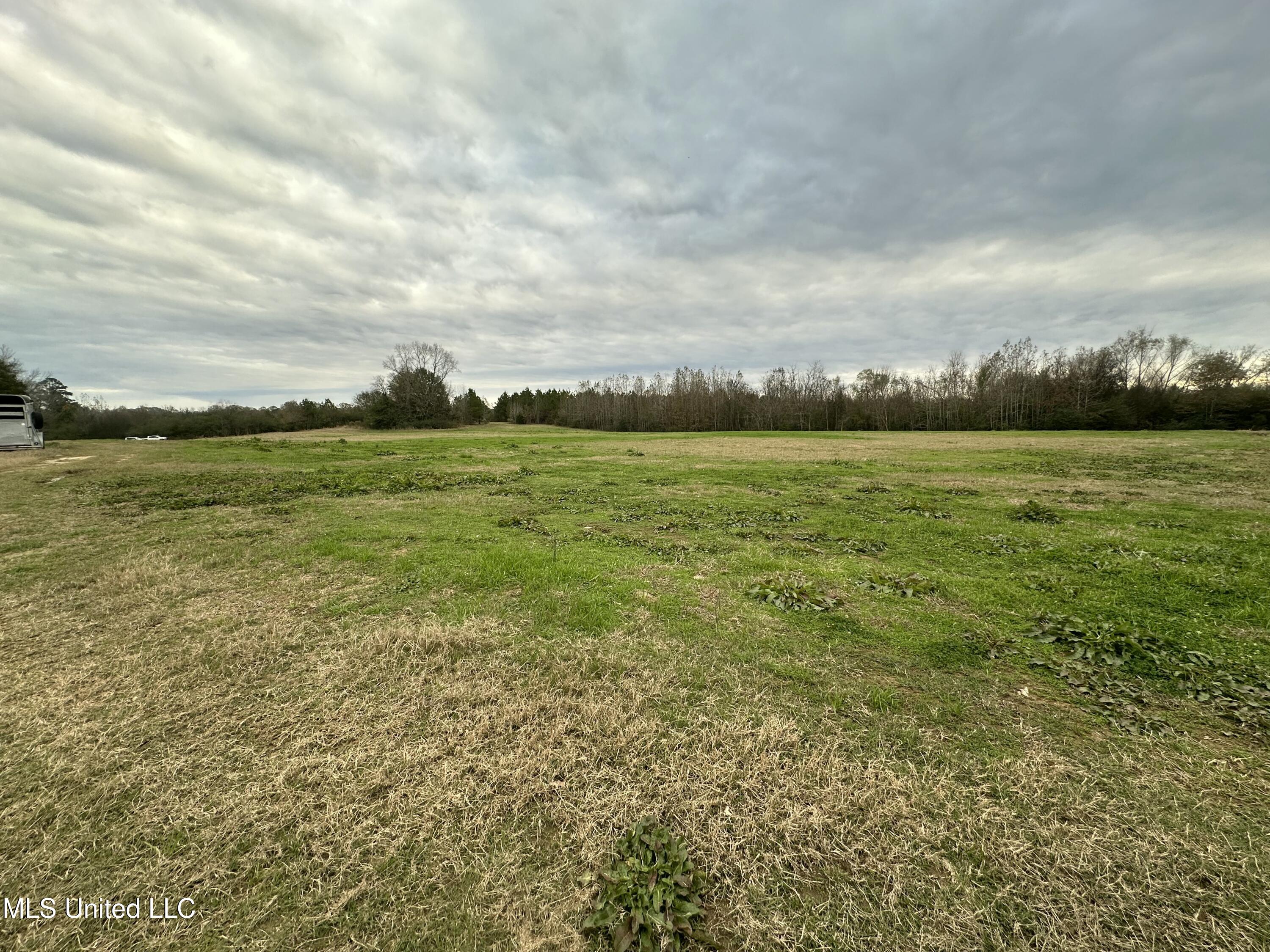 Tank Road Crystal Springs, MS 39059 - Photo 31 of 42 IMG_3902