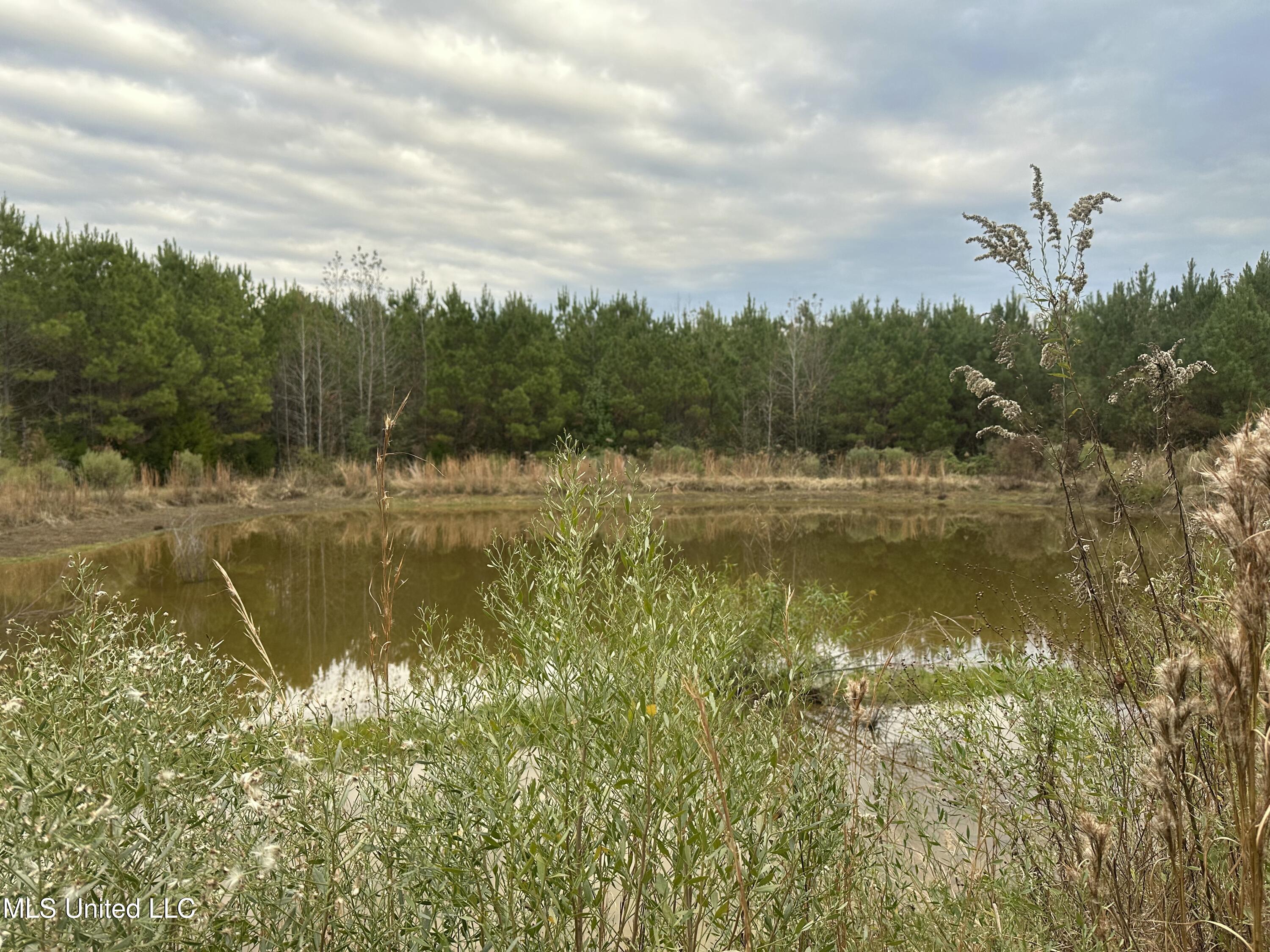 Tank Road Crystal Springs, MS 39059 - Photo 32 of 42 IMG_3904