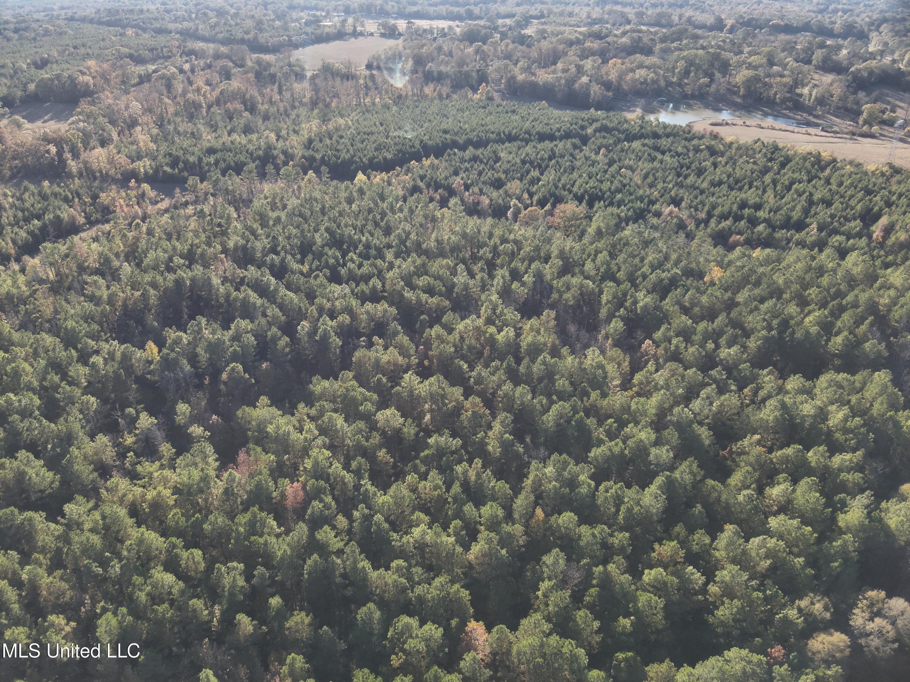 Tank Road Crystal Springs, MS 39059 - Photo 34 of 42 DJI_20251111153029_0024_V