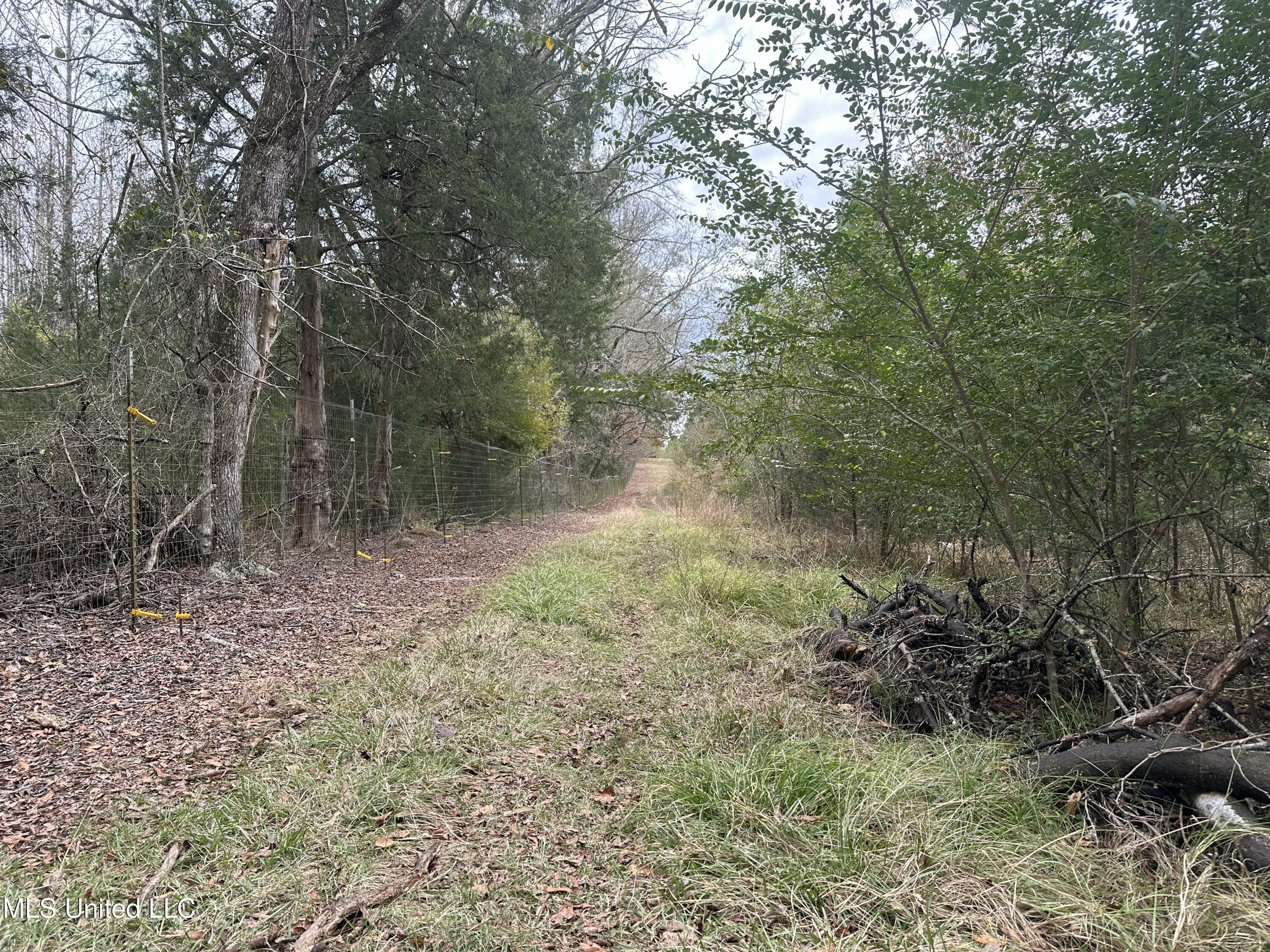 Tank Road Crystal Springs, MS 39059 - Photo 35 of 42 IMG_3881