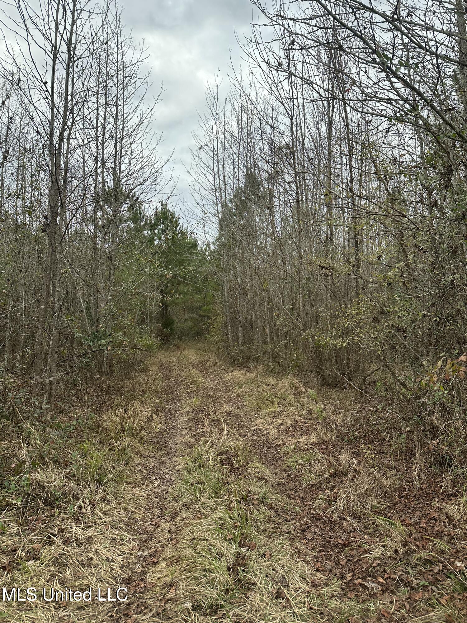 Tank Road Crystal Springs, MS 39059 - Photo 37 of 42 IMG_3891