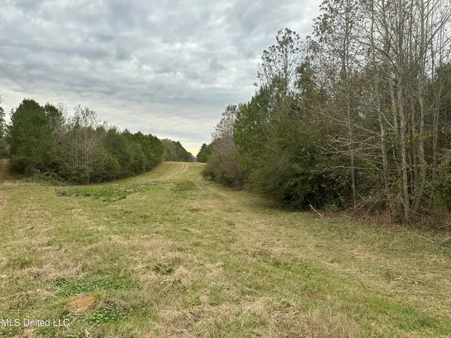 $1,104,600 | Tank Road, Crystal Springs, MS 39059