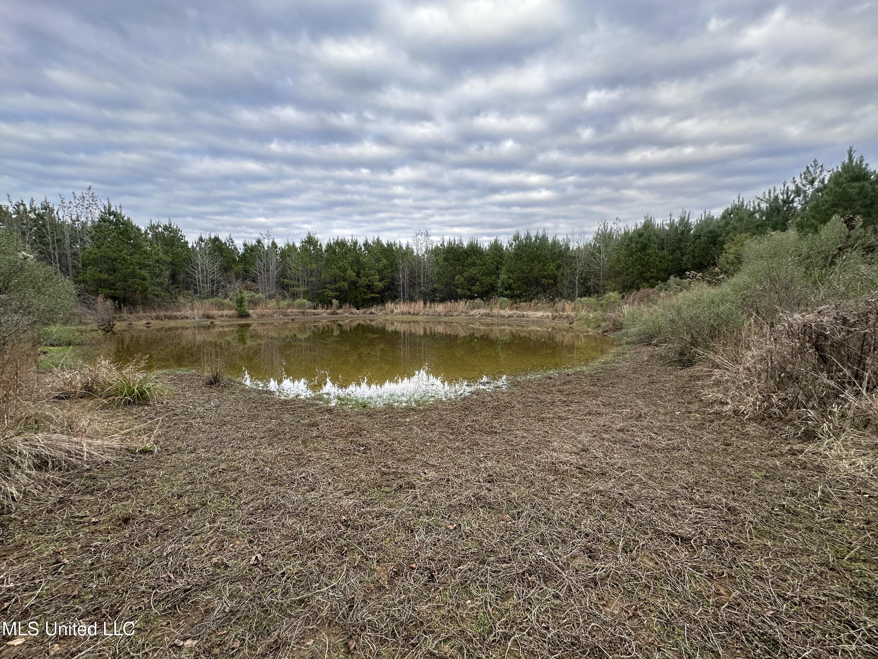 Tank Road Crystal Springs, MS 39059 - Photo 39 of 42 IMG_3906