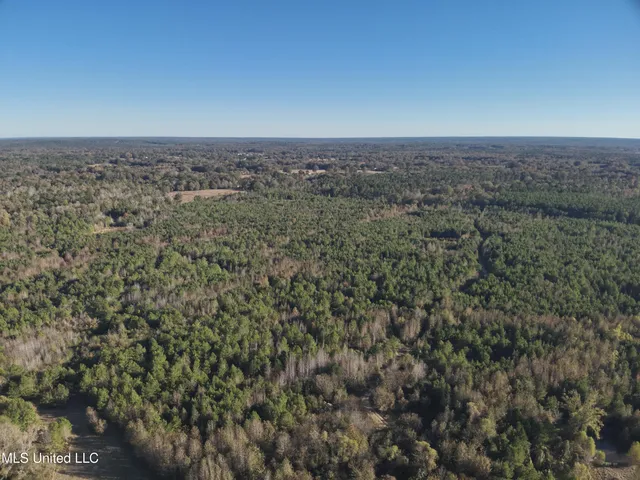 $1,104,600 | Tank Road, Crystal Springs, MS 39059