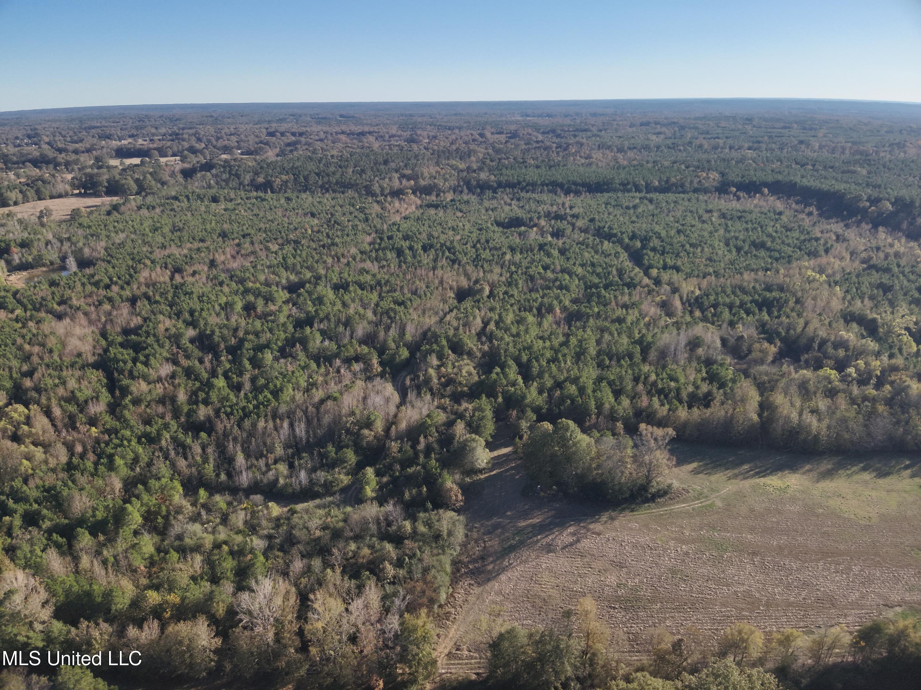 Tank Road Crystal Springs, MS 39059 - Photo 5 of 42 DJI_20251111152741_0004_V