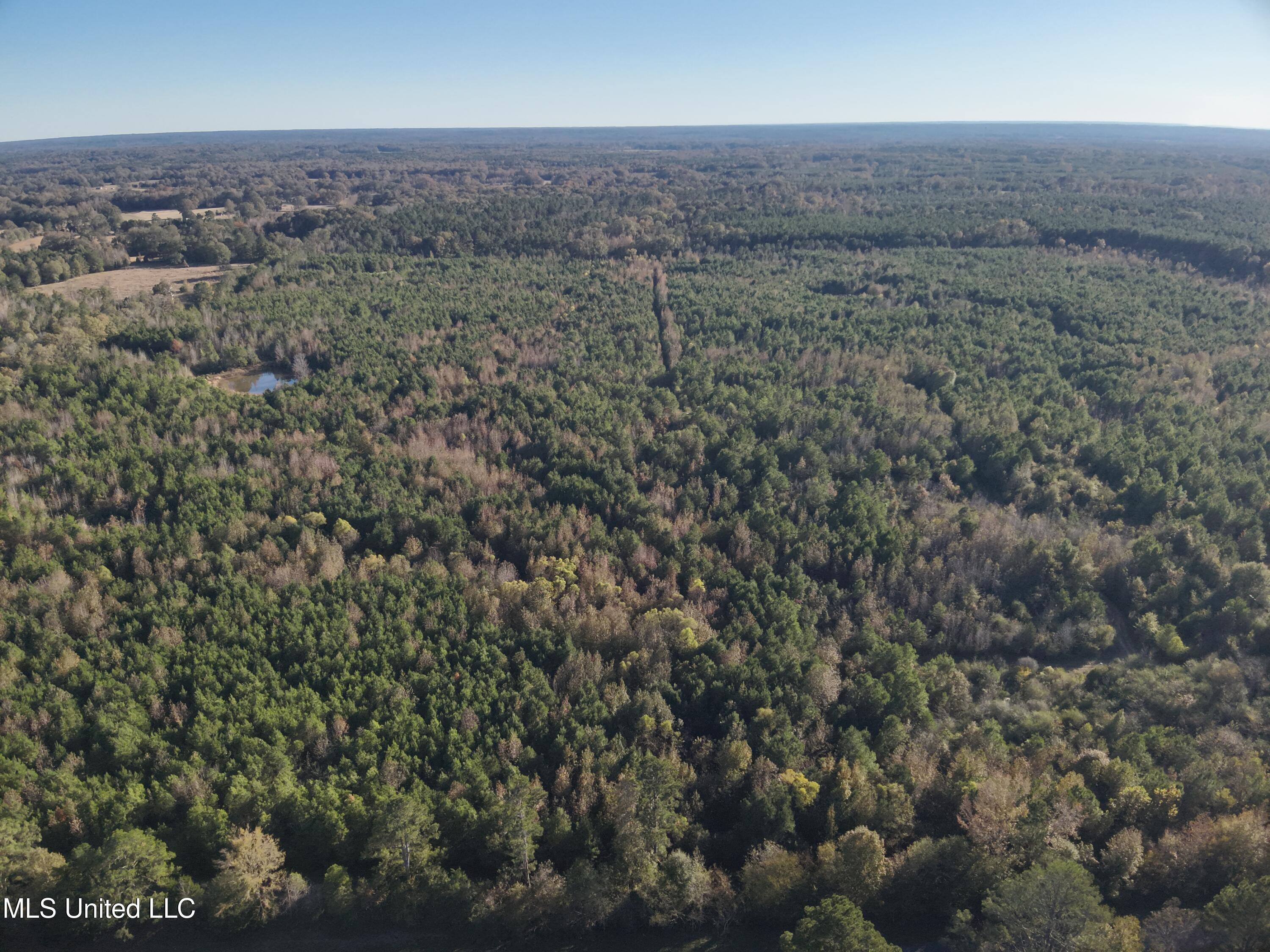 Tank Road Crystal Springs, MS 39059 - Photo 7 of 42 DJI_20251111152803_0006_V