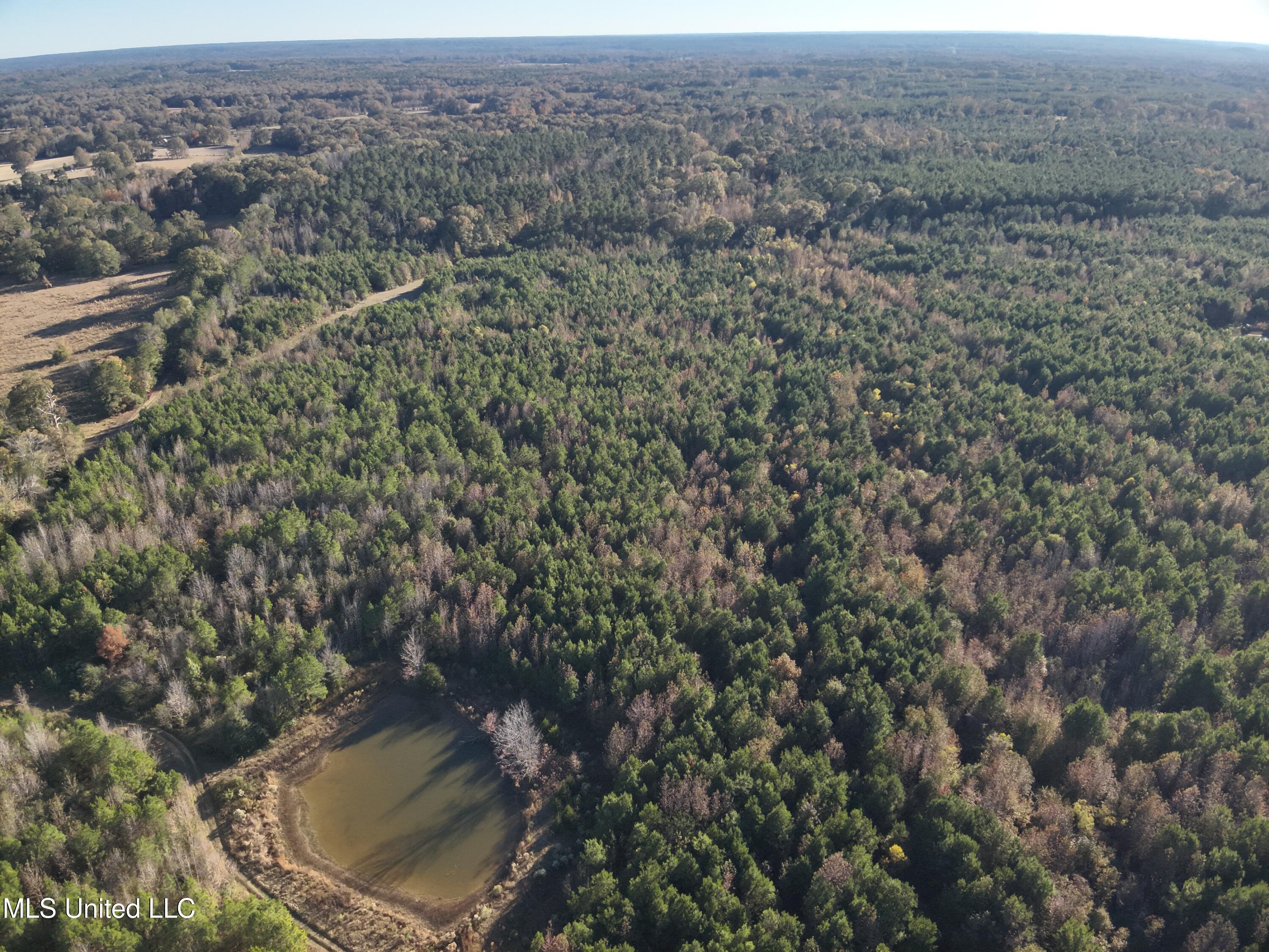 Tank Road Crystal Springs, MS 39059 - Photo 9 of 42 DJI_20251111152900_0011_V