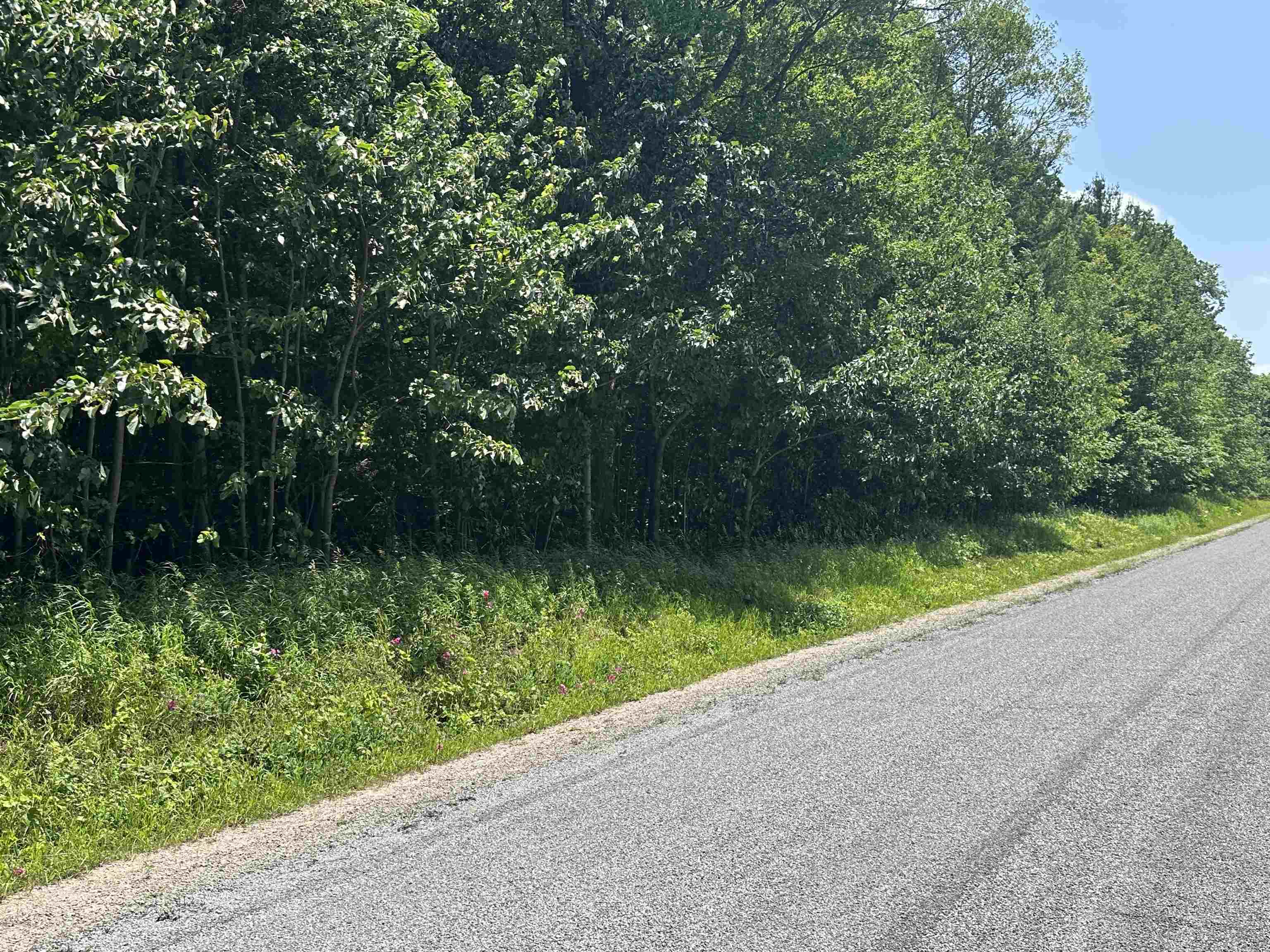 11605 South Tower Road, Unit LOT: 5 Maple City, MI 49664 - Photo 10 of 11