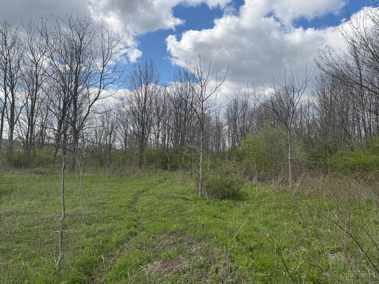 Ac Overman Road Hillsboro, OH 45133 - Photo 7 of 7 Gallery Image 7