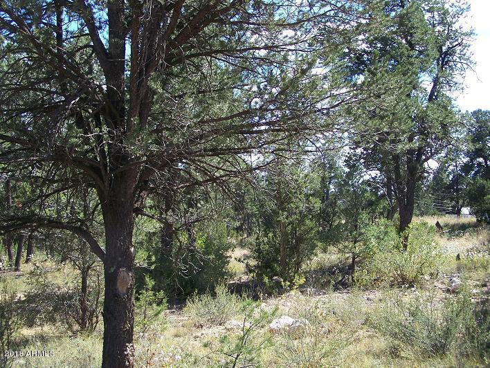 3117 Ranch Road, Unit 174 Overgaard, AZ 85933 - Photo 11 of 11 11