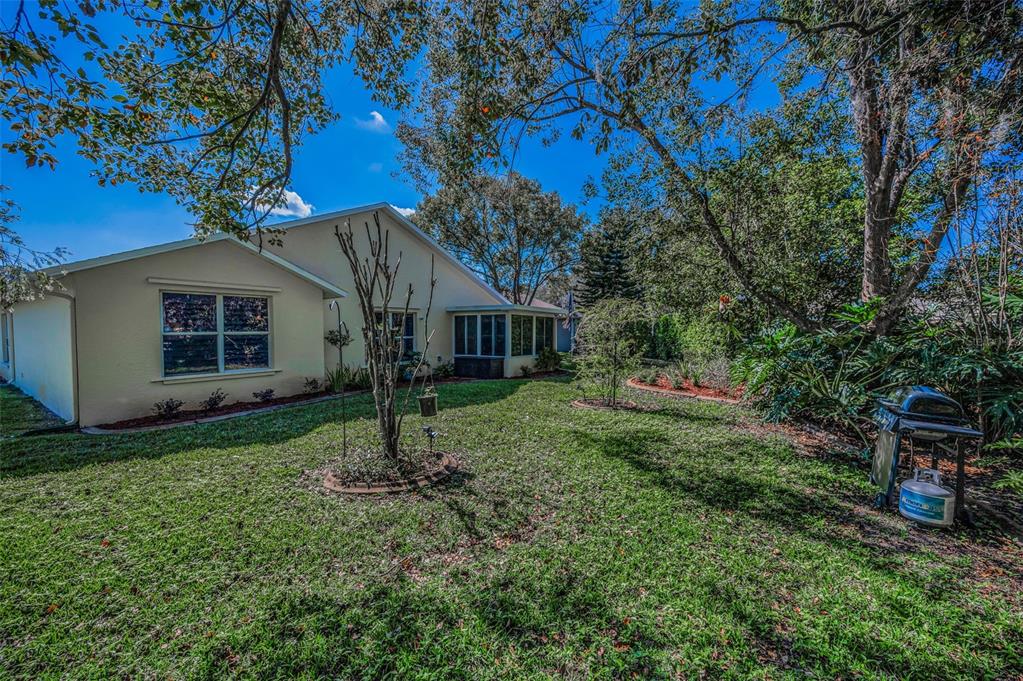 11427 Turtle Dove Place New Port Richey, FL 34654 - Photo 49 of 100