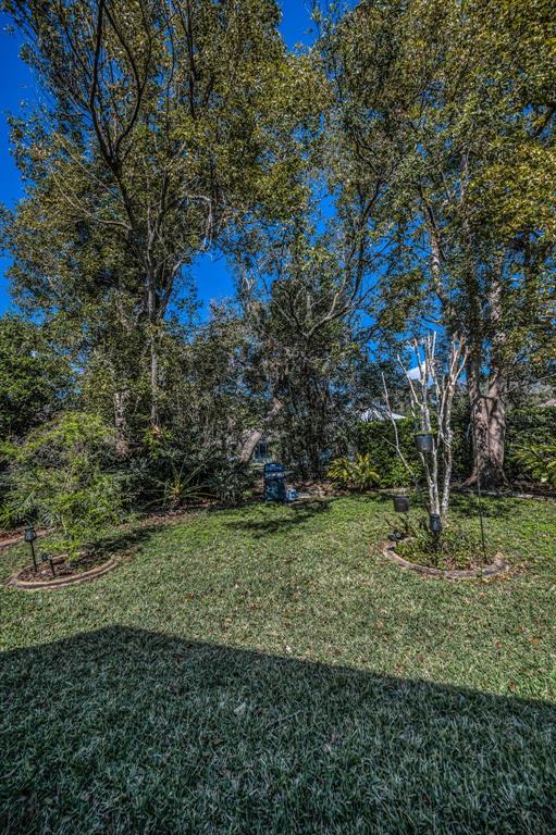 11427 Turtle Dove Place New Port Richey, FL 34654 - Photo 51 of 100