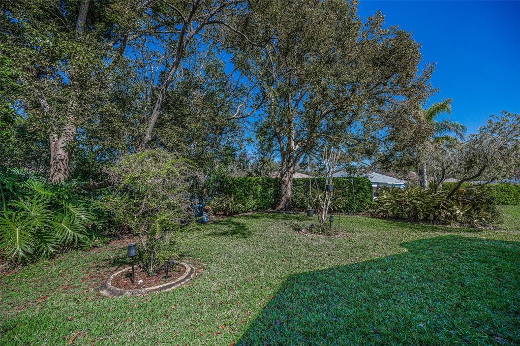 11427 Turtle Dove Place New Port Richey, FL 34654 - Photo 52 of 100 a view of a backyard with table and chairs and potted plants and large trees