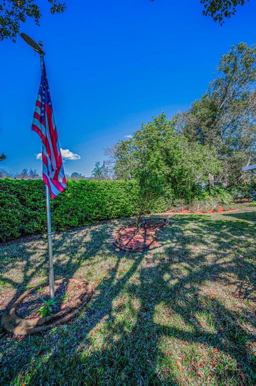 11427 Turtle Dove Place New Port Richey, FL 34654 - Photo 54 of 100