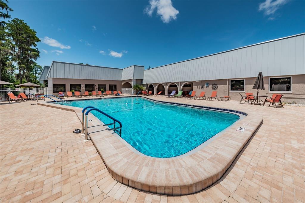 11427 Turtle Dove Place New Port Richey, FL 34654 - Photo 69 of 100 a view of a swimming pool with seating area