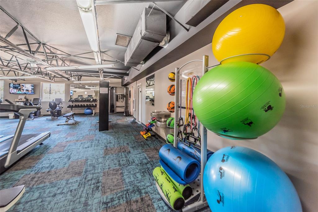 11427 Turtle Dove Place New Port Richey, FL 34654 - Photo 72 of 100