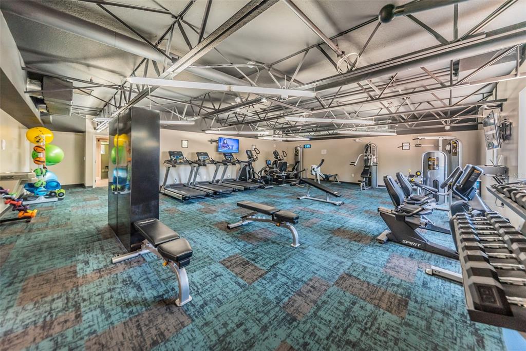 11427 Turtle Dove Place New Port Richey, FL 34654 - Photo 73 of 100 a view of a room with gym equipment