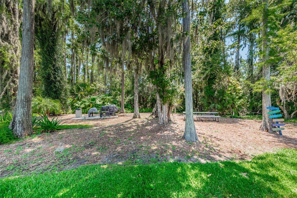 11427 Turtle Dove Place New Port Richey, FL 34654 - Photo 90 of 100