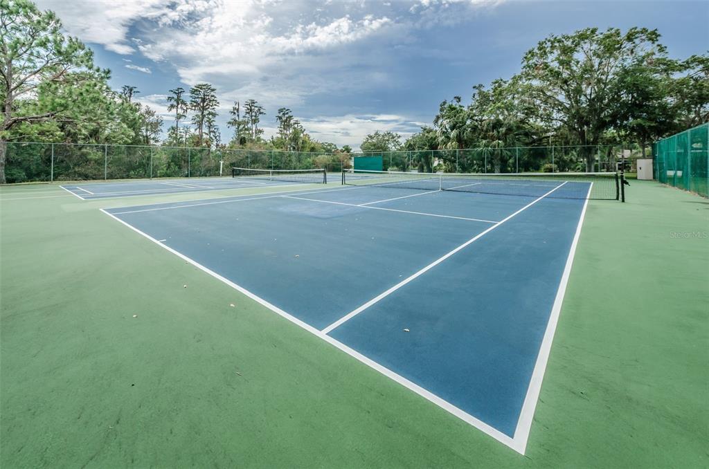 11427 Turtle Dove Place New Port Richey, FL 34654 - Photo 94 of 100 a view of an outdoor space and tennis court