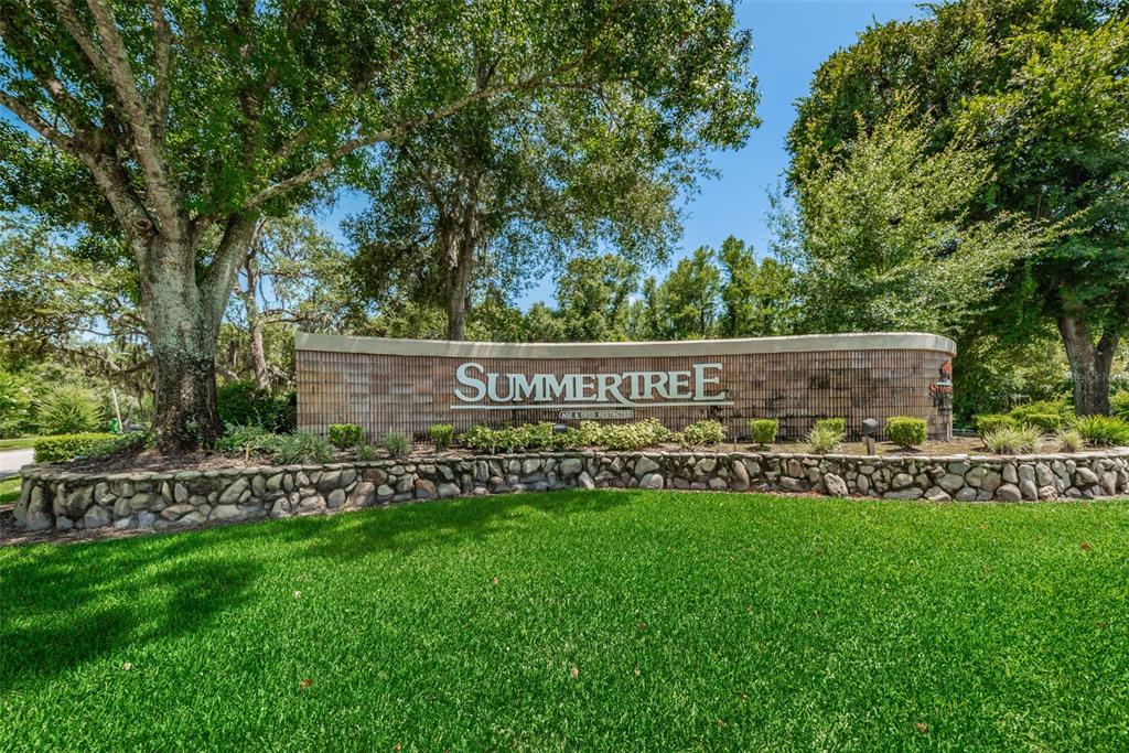 11427 Turtle Dove Place New Port Richey, FL 34654 - Photo 97 of 100 a view of garden with an trees
