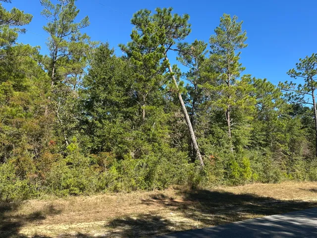 a view of a wooden house with a yard