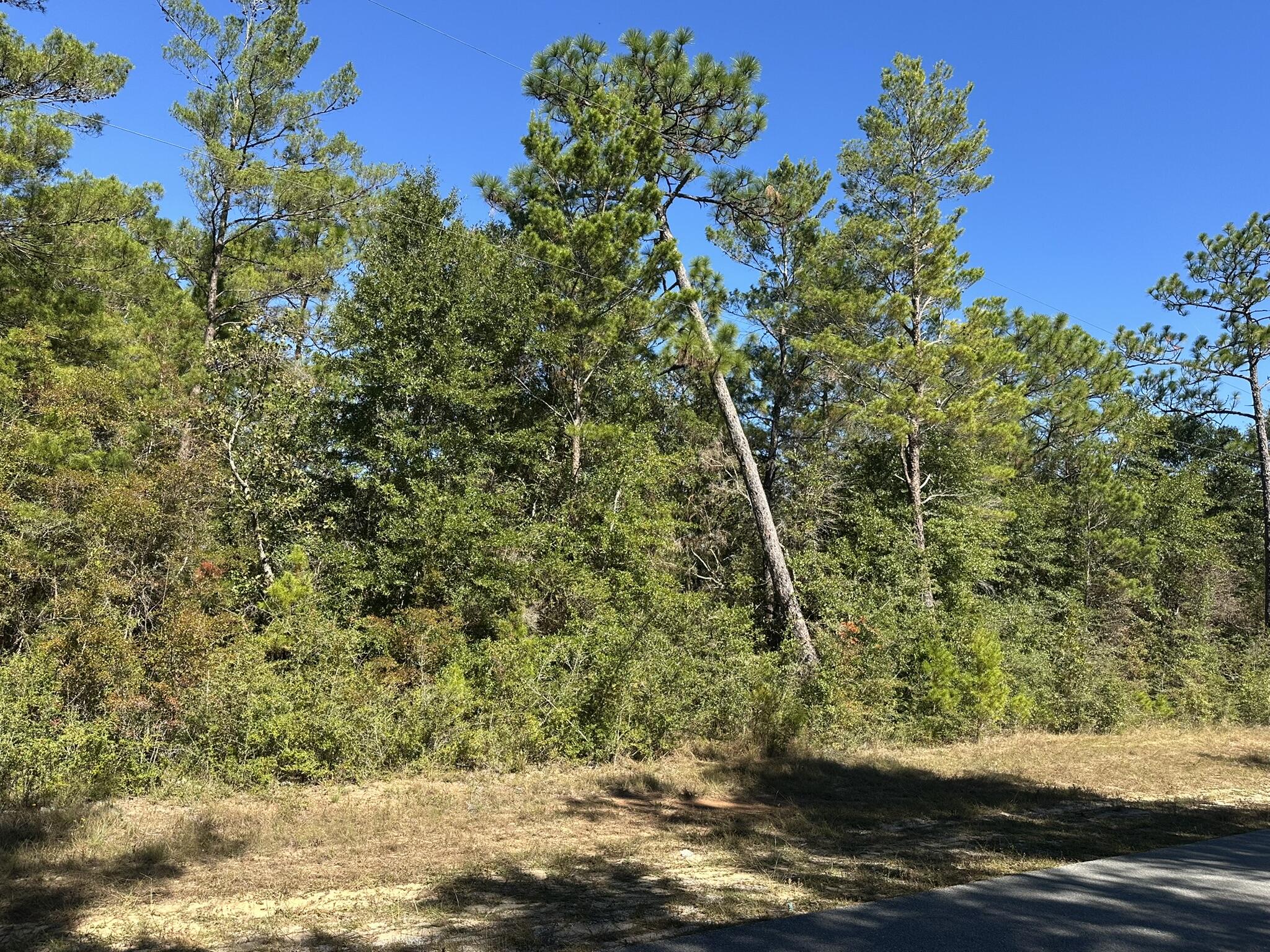 Parcel A Bear Head Road Crestview, FL 32539 - Photo 5 of 8 a view of a wooden house with a yard