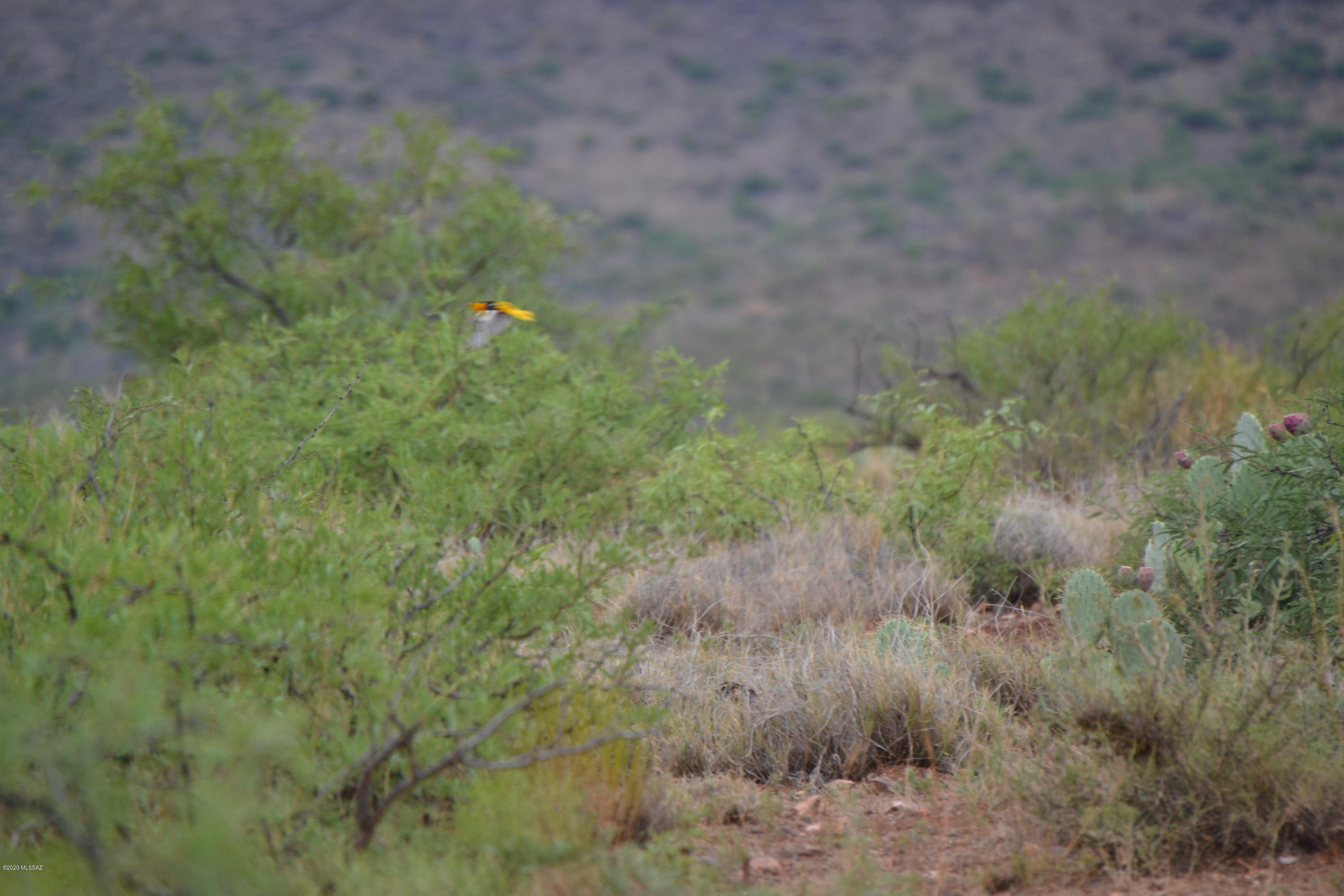 Tbd Silver Creek Road, Unit 7 Douglas, AZ 85607 - Photo 11 of 30 Gallery Image 11