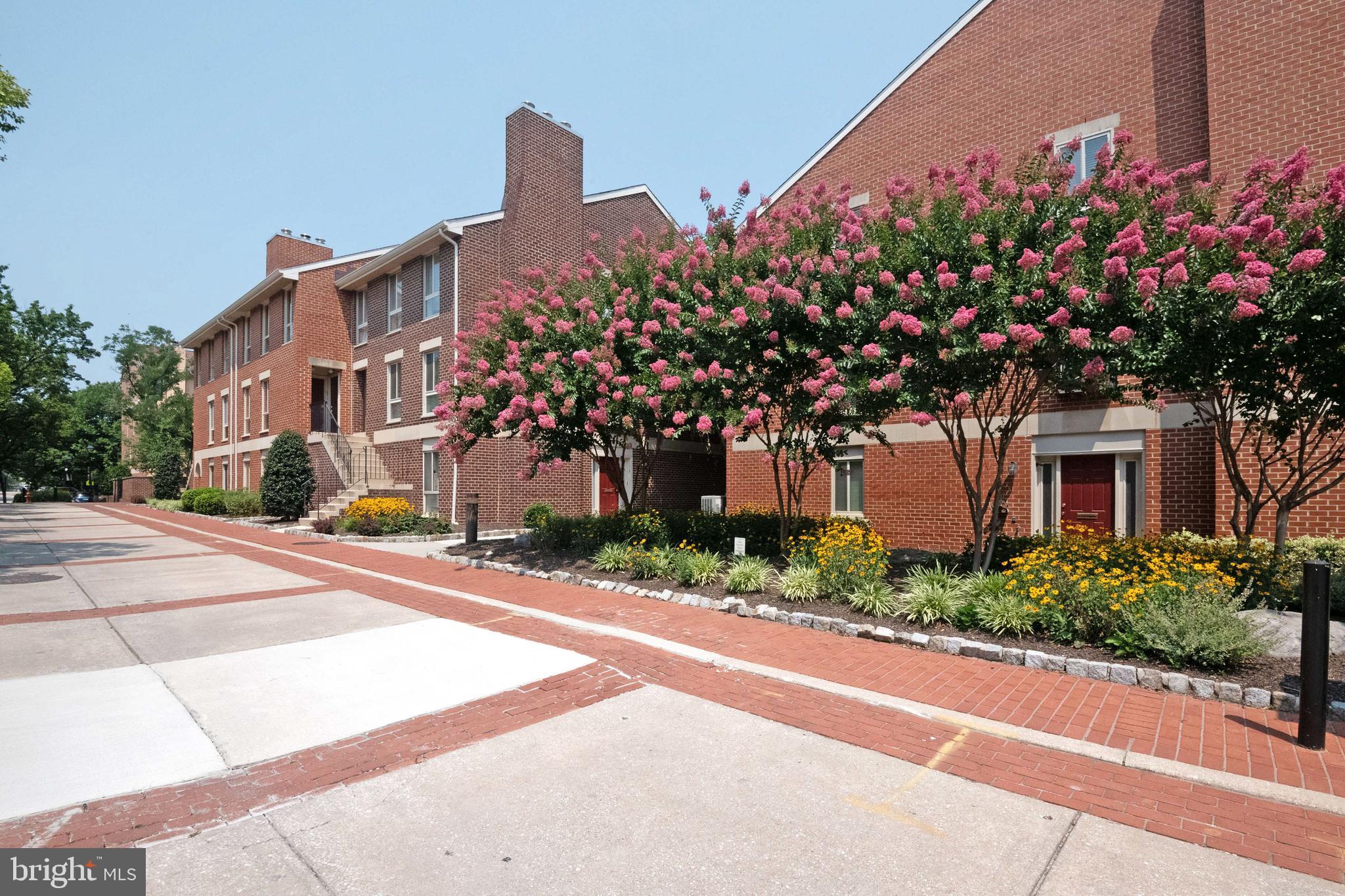 20 West Hill Street, Unit R9 Baltimore, MD 21230 - Photo 34 of 35 Beautiful W. Hill Street