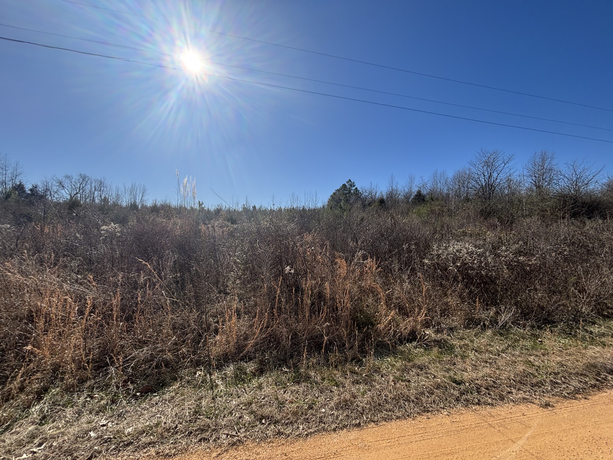 0 River Bend Drive Linden, TN 37096 - Photo 4 of 8