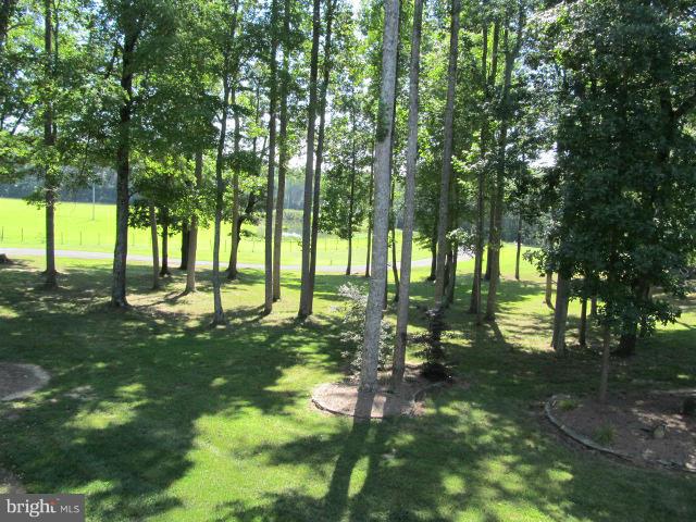 15225 Black Hill Road Rixeyville, VA 22737 - Photo 3 of 30 View