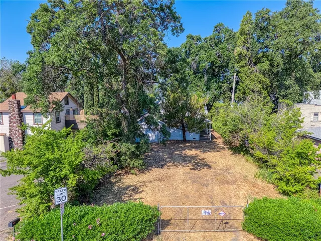 a view of a road with plants and large trees