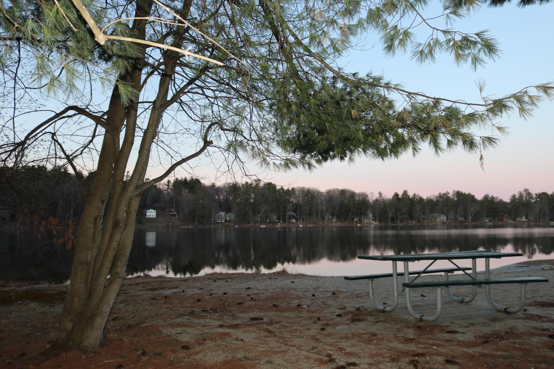 239 Bog Road Hillsborough, NH 03244 - Photo 20 of 26 Gallery Image 20