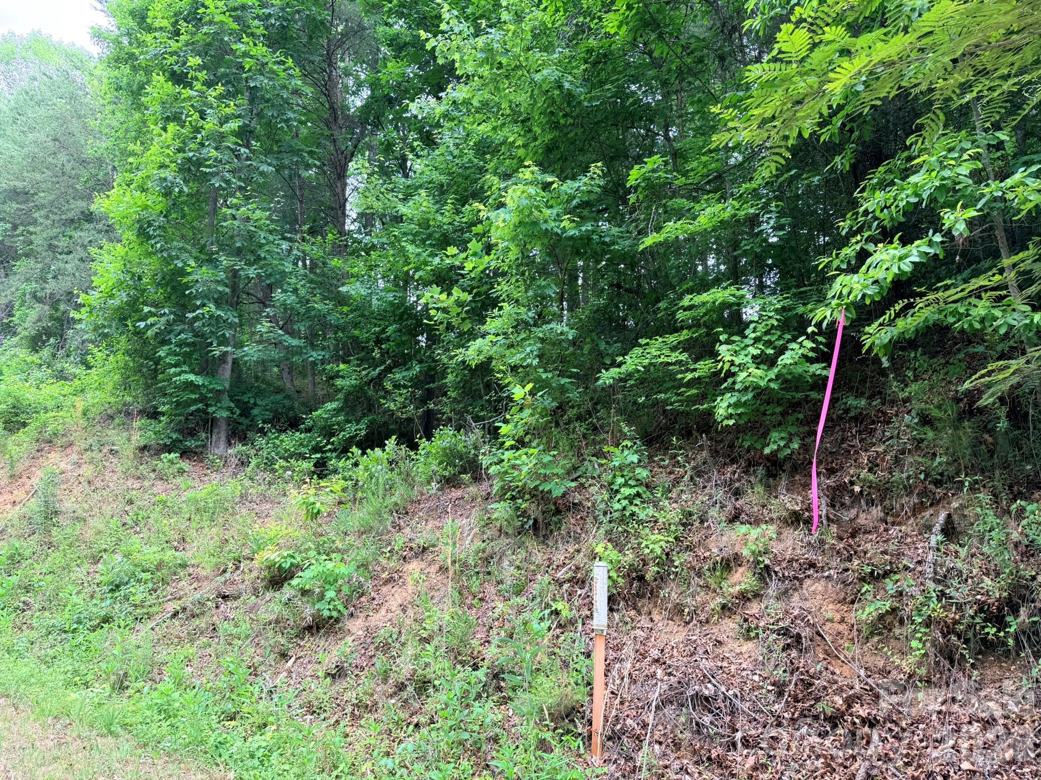 Tbd North Marley Ford Road Ferguson, NC 28624 - Photo 23 of 26