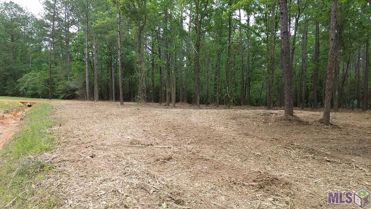 63168 Chappepeela Ridge Road Amite, LA 70422 - Photo 3 of 11 Gallery Image 3