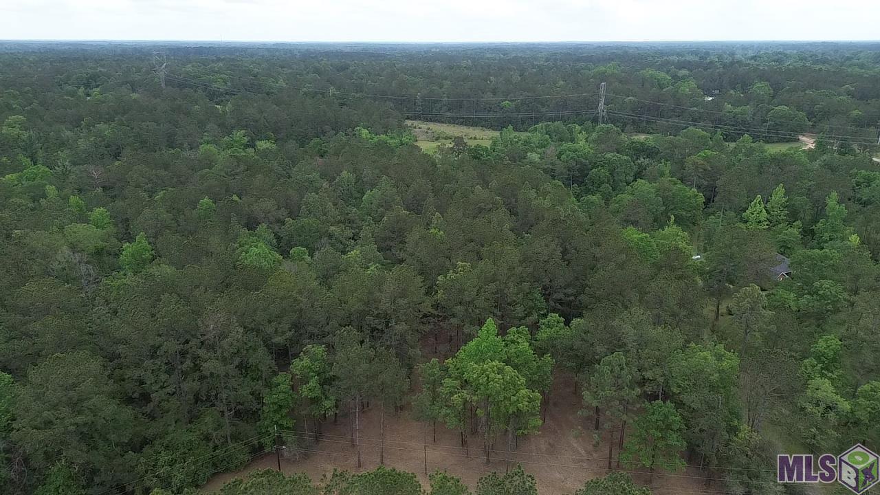 63168 Chappepeela Ridge Road Amite, LA 70422 - Photo 7 of 11 Gallery Image 7