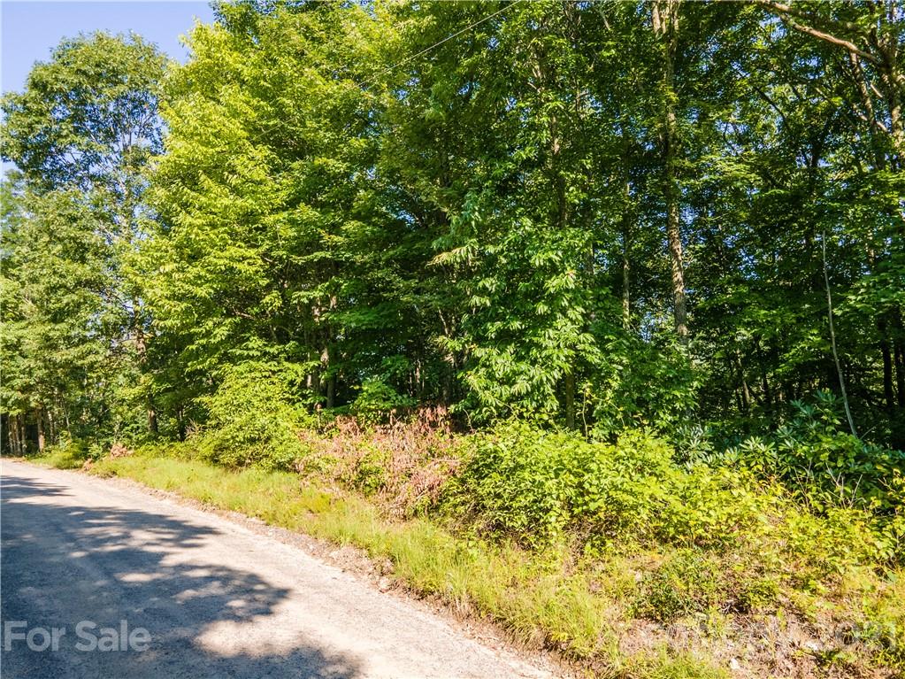 0 Plott Balsam Road, Unit 2 Maggie Valley, NC 28751 - Photo 1 of 9 Gallery Image 1