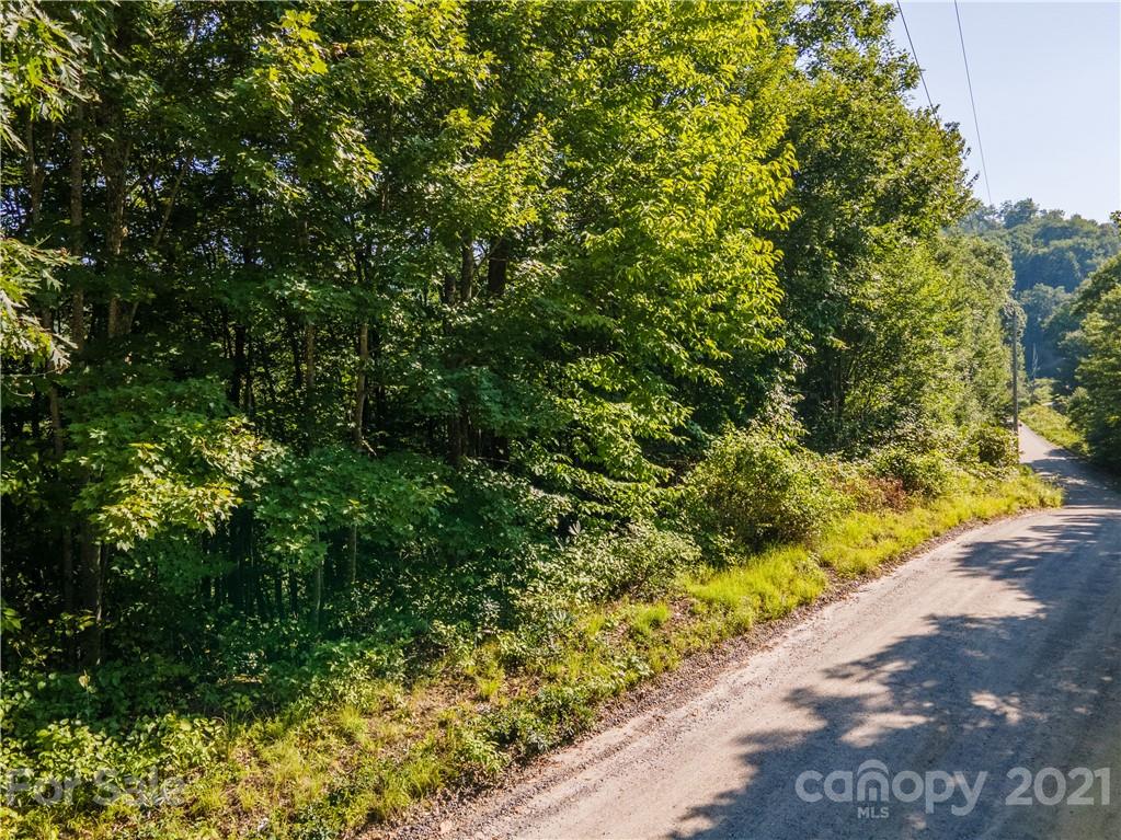 0 Plott Balsam Road, Unit 2 Maggie Valley, NC 28751 - Photo 2 of 9 Gallery Image 2
