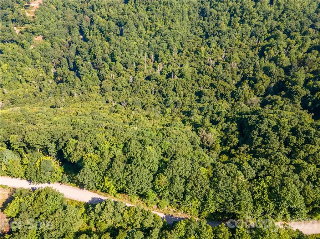 0 Plott Balsam Road, Unit 2 Maggie Valley, NC 28751 - Photo 4 of 9 Gallery Image 4