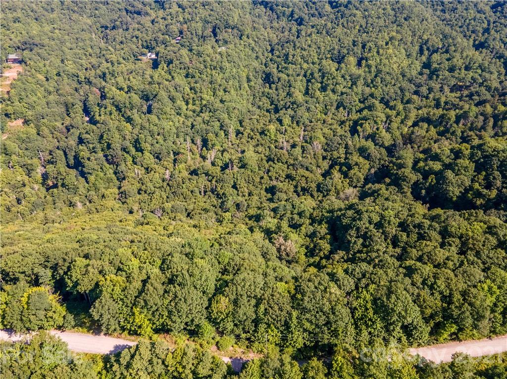 0 Plott Balsam Road, Unit 2 Maggie Valley, NC 28751 - Photo 5 of 9 Gallery Image 5