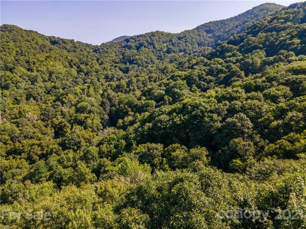 0 Plott Balsam Road, Unit 2 Maggie Valley, NC 28751 - Photo 6 of 9 Gallery Image 6