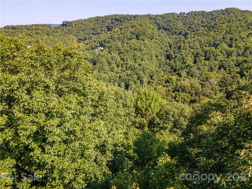0 Plott Balsam Road, Unit 2 Maggie Valley, NC 28751 - Photo 7 of 9 Gallery Image 7