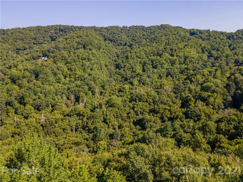 0 Plott Balsam Road, Unit 2 Maggie Valley, NC 28751 - Photo 8 of 9 Gallery Image 8