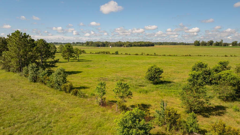 5103 Ione Road Pavo, GA 31778 - Photo 47 of 52 Gallery Image 47
