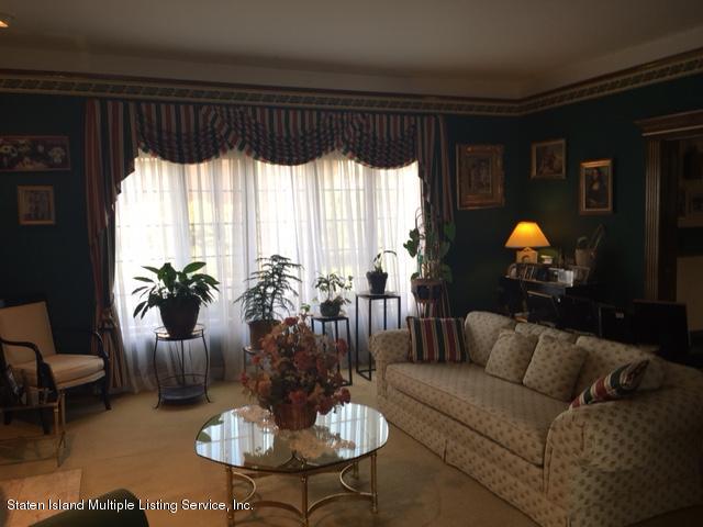 93 Romer Road Staten Island, NY 10304 - Photo 7 of 15 93 Romer Livingroom with Plants
